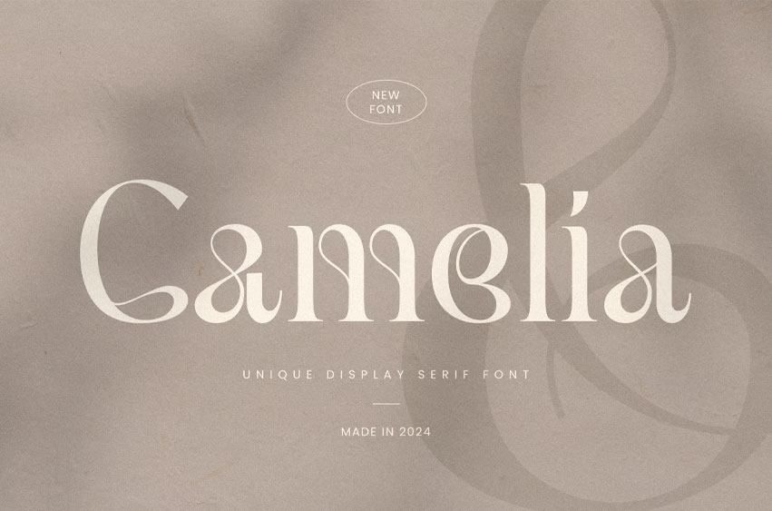 Camelia Serif Font