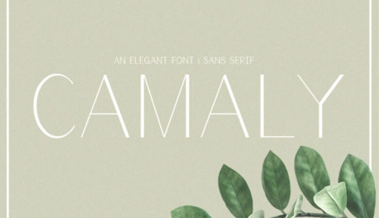 Camaly Font