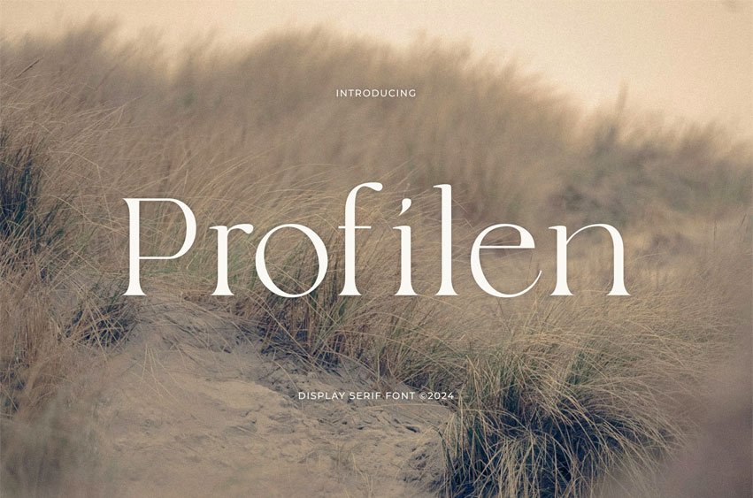 Profilen Font