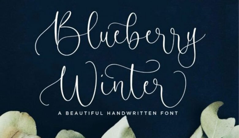 Blueberry Winter Font