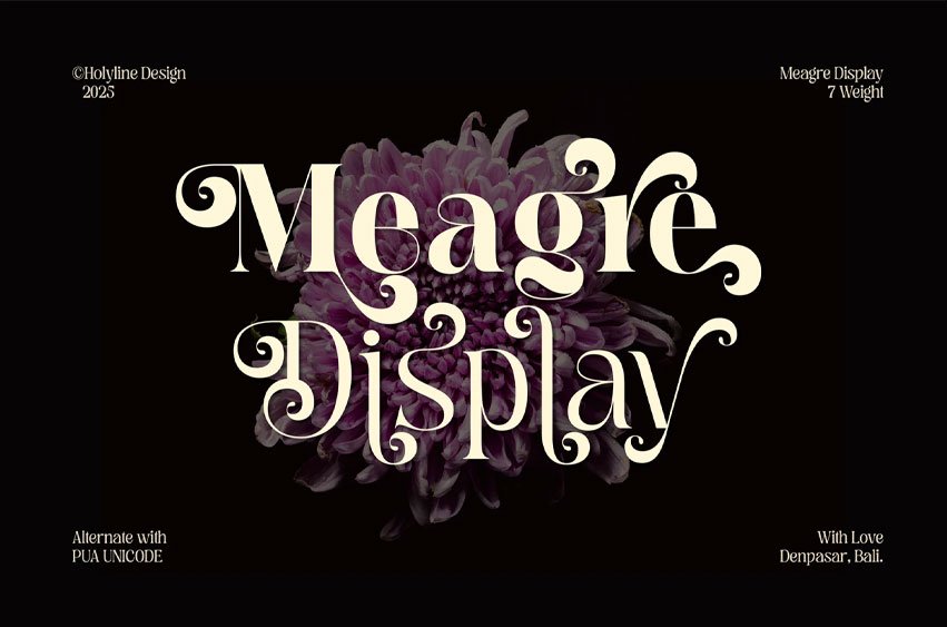Meagre Display Font