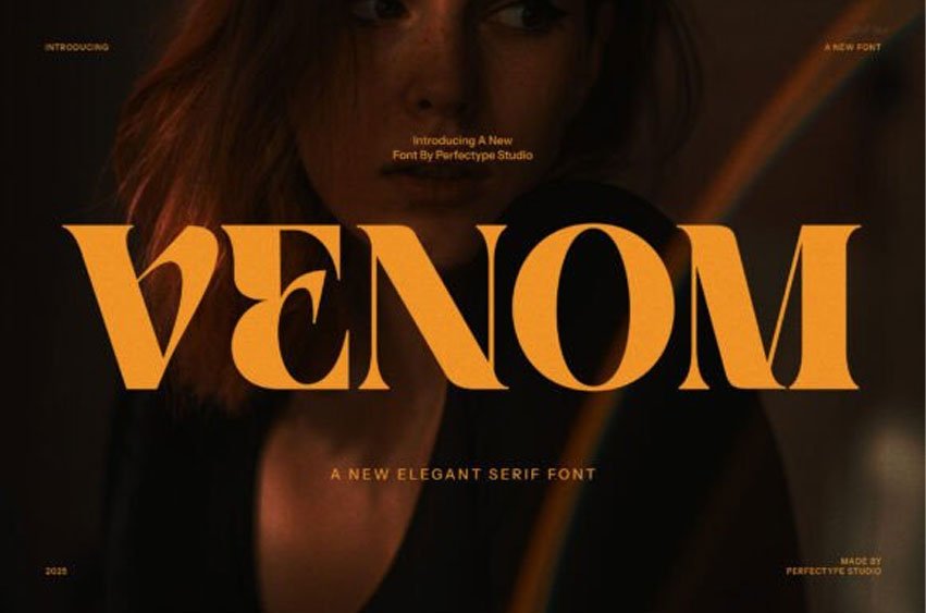 Venom Serif Font