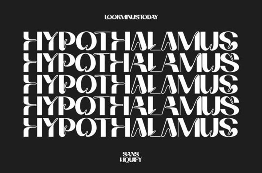 Hypothalamus Font