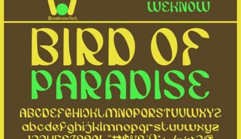 Bird of Paradise Font