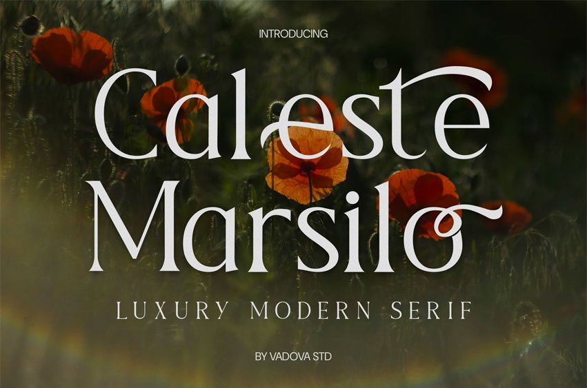 Caleste Marsilo Font