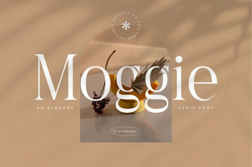 Moggie Font