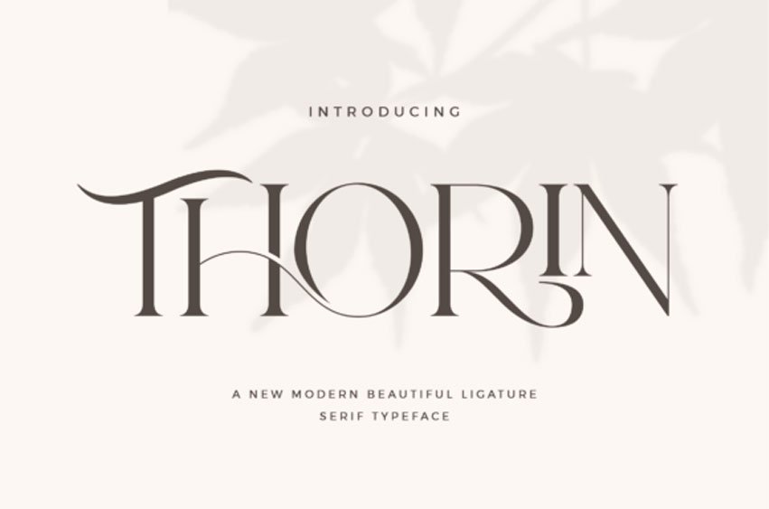 Thorin Modern Font
