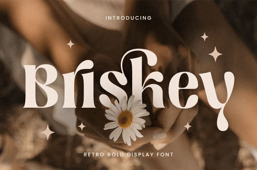 Briskey Font