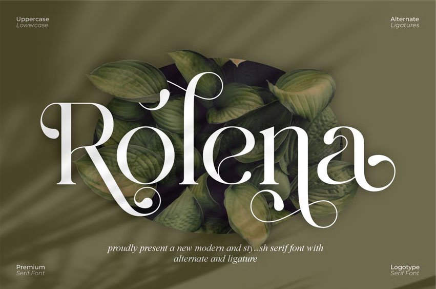 Rolena Font
