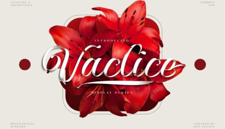 Vaclice Script Font