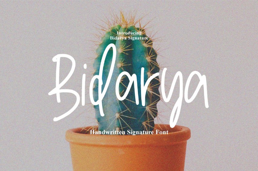 Bidarya Font