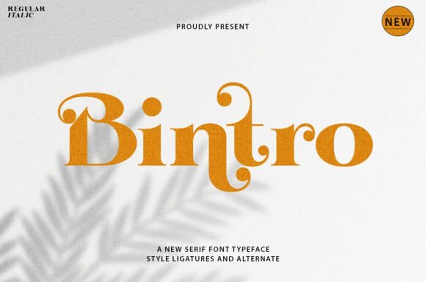 Bintro Font