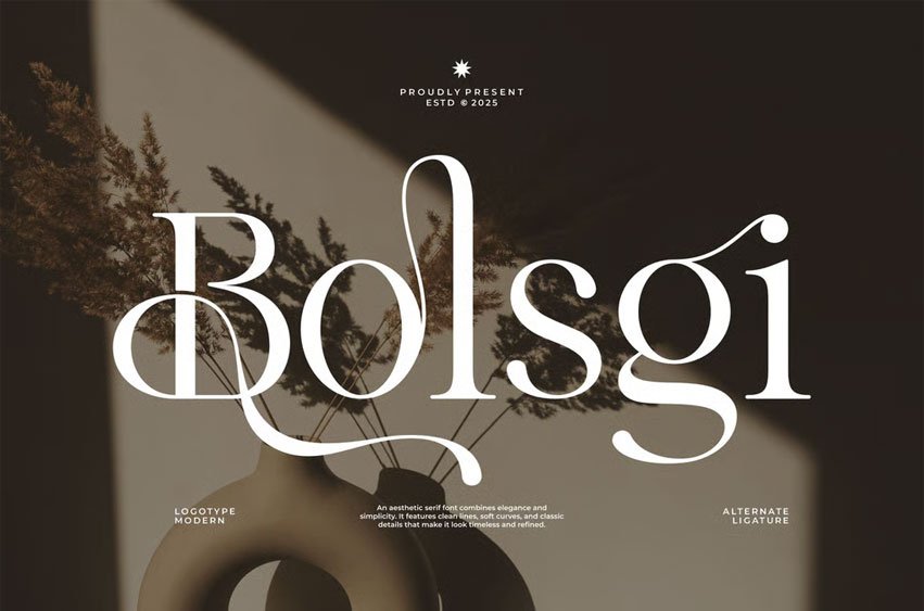 Bolsgi Font