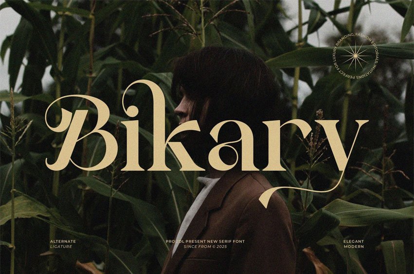 Bikary Font
