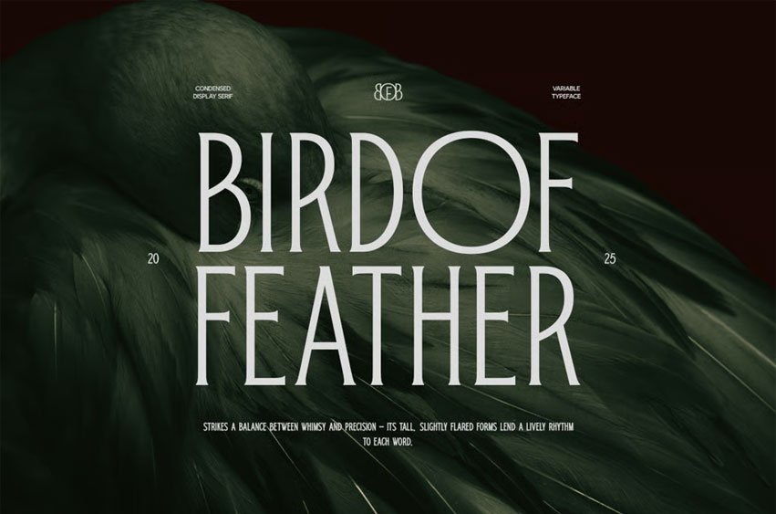 Bird Of Feather Font
