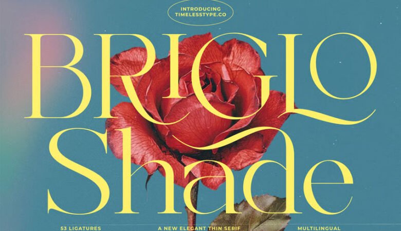 Briglo Shade Font