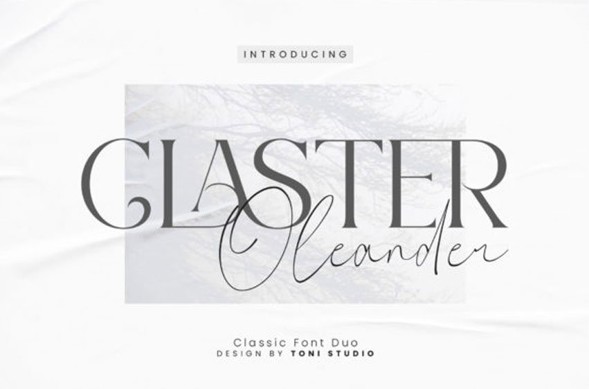 Claster Oleander Font