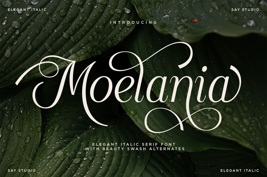 Moelania Font