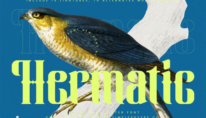 Hermatic Font