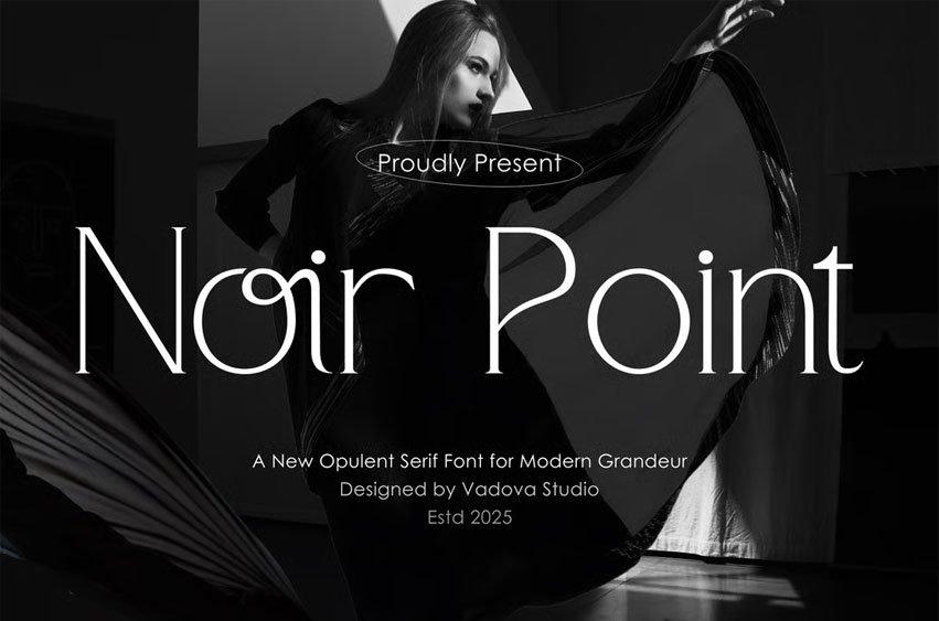 Noir Point Seif Font