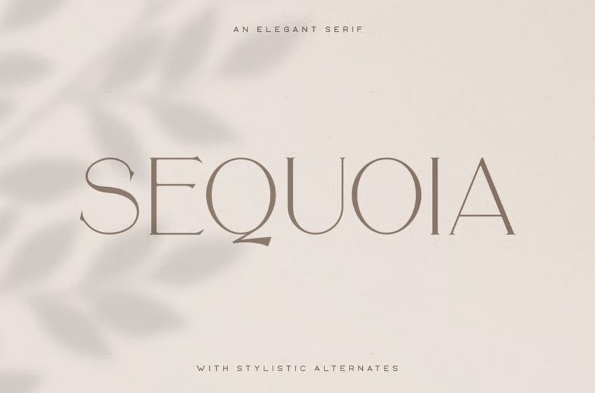 Sequoia Typeface Font