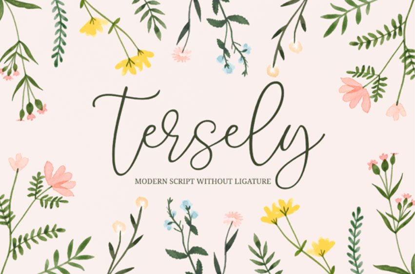 Tersely Font