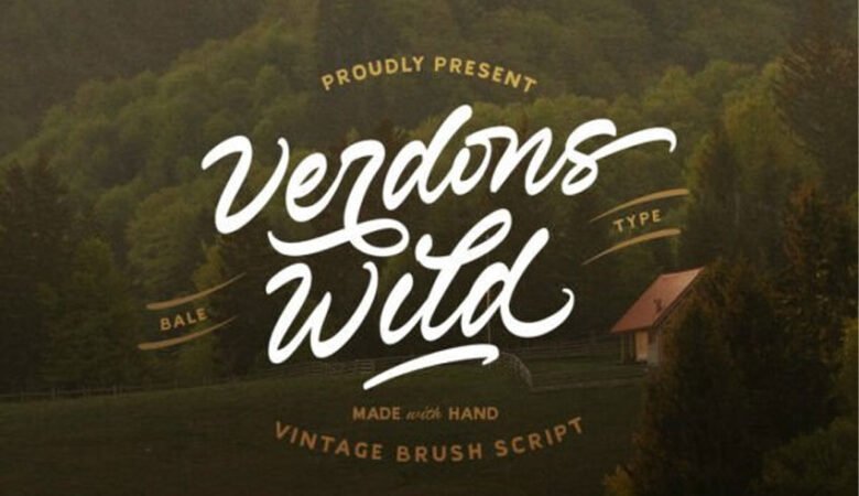 Verdons Wild Font