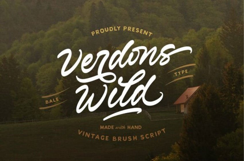 Verdons Wild Font