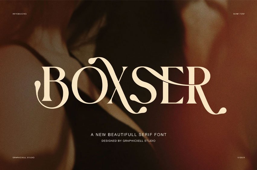 Boxer Serif Font
