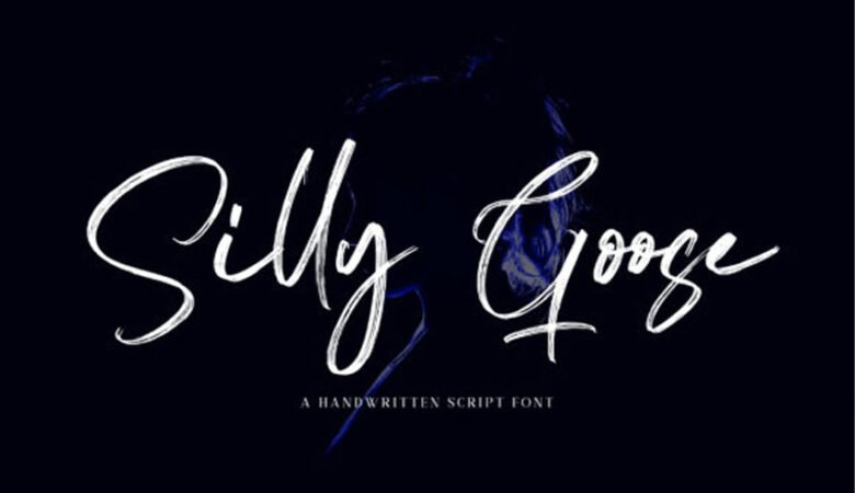 Silly Goose Font