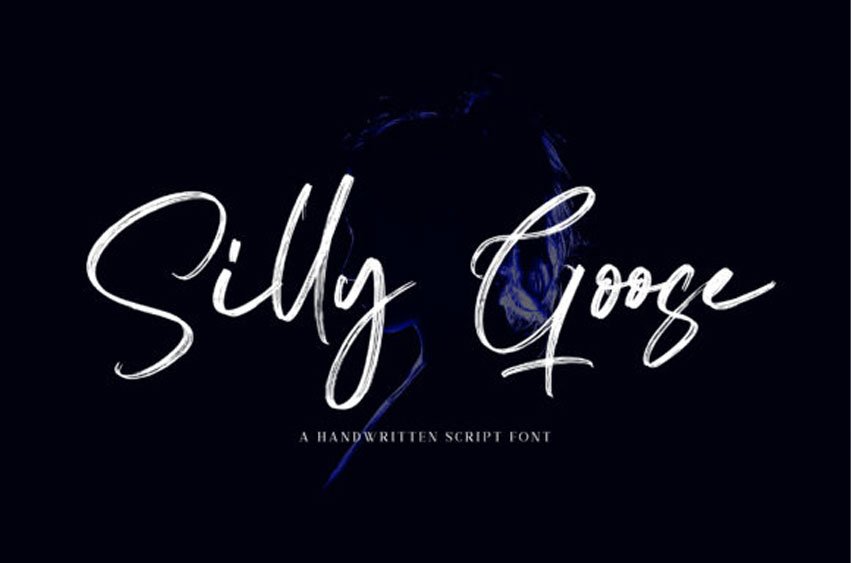 Silly Goose Font