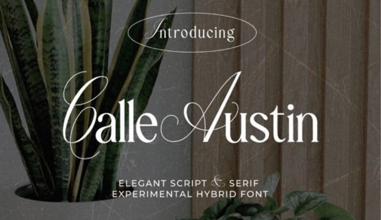 Calle Austin Font