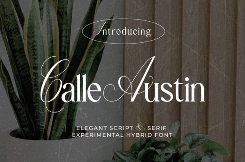 Calle Austin Font