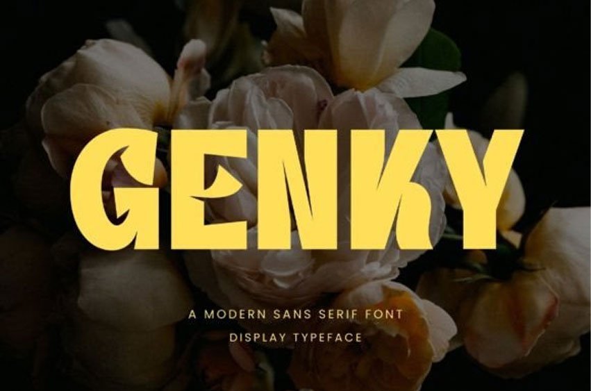 Genky Font