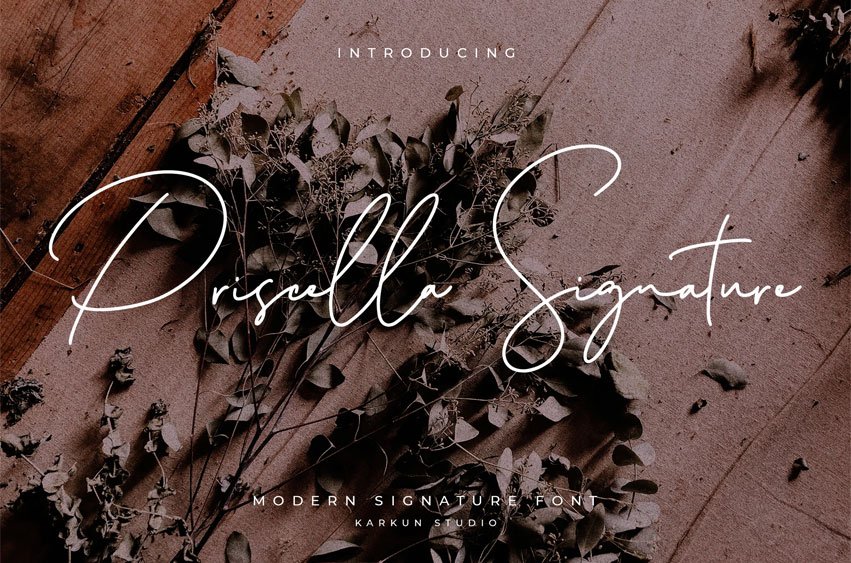 Priscilla Modern Signature Font