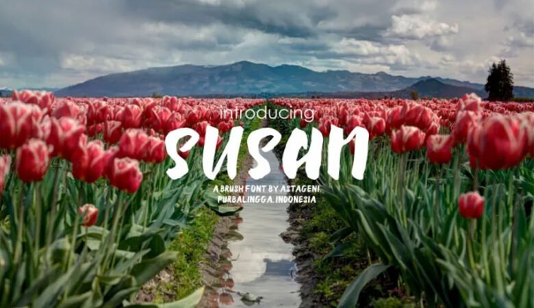 Susan Brush Font