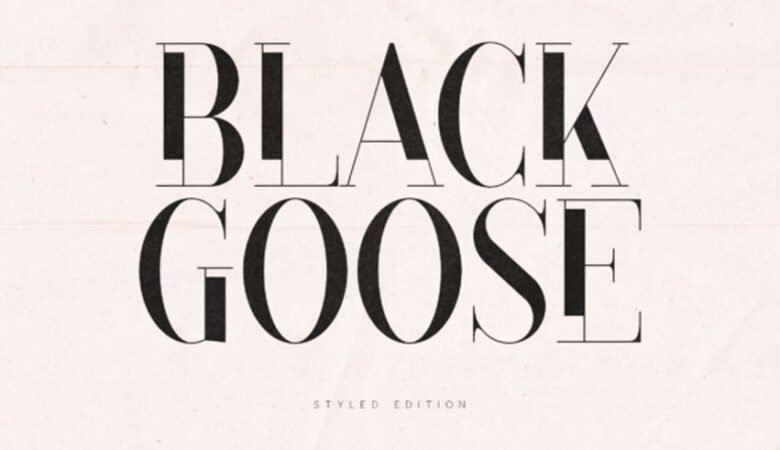 Black Goose Serif Font