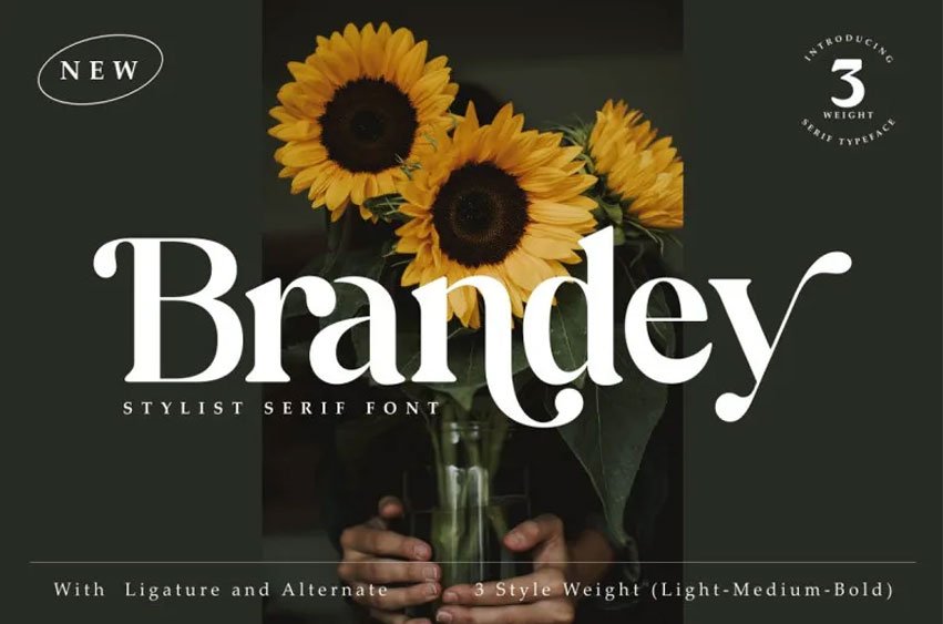 Brandey Font