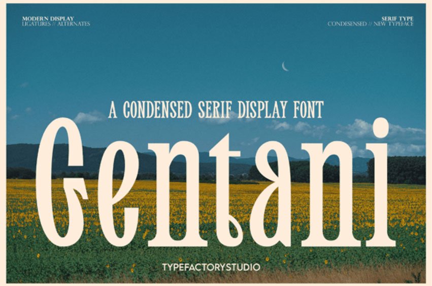 Gentani Font