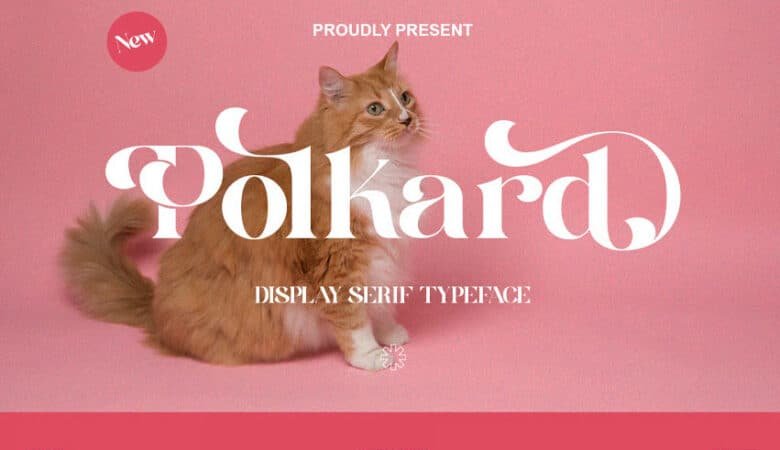 Polkard Font