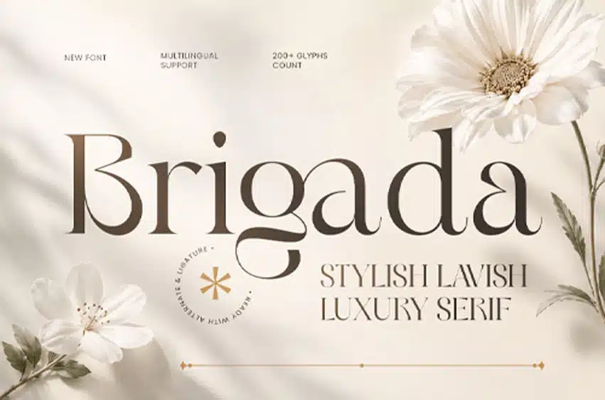 Brigada Font